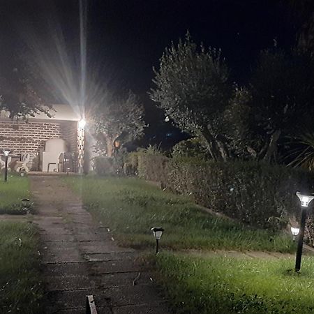 Casa Das 3 Palmeiras Arraiolos Kültér fotó
