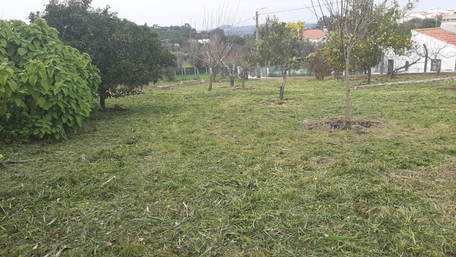 Casa Das 3 Palmeiras Arraiolos Kültér fotó